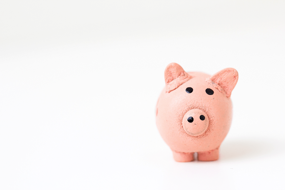 dental marketing budget