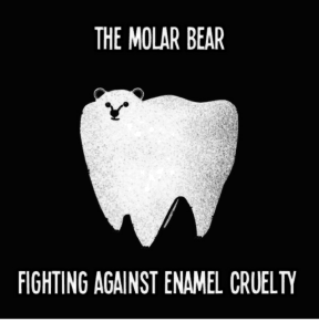 molar bear meme